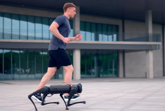 Cómo es el nuevo perro-robot que puede correr a tu lado y llevarte una botella de agua