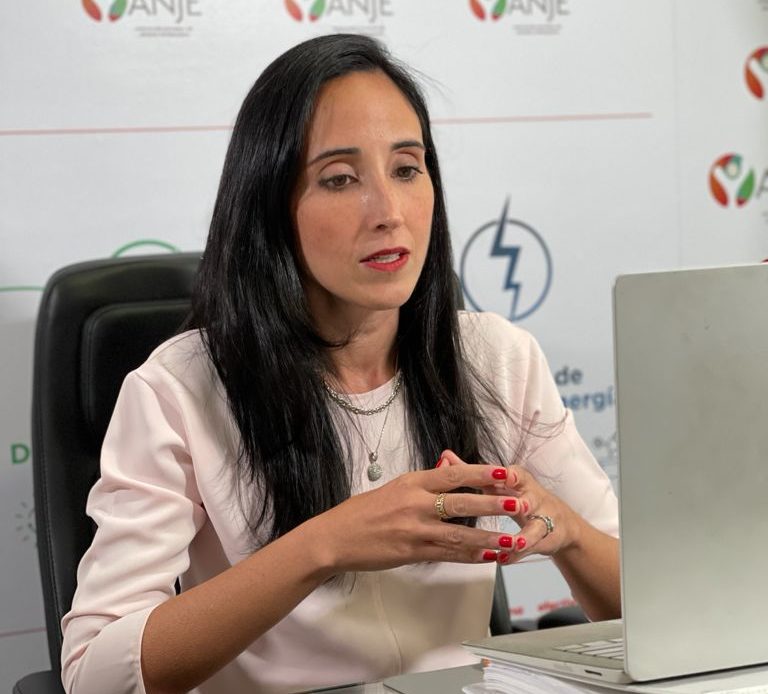Susana Martínez, presidenta de la ANJE