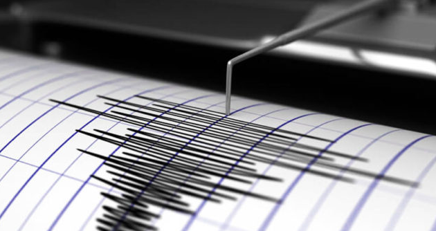 Temblor en Haití sacudió 19 provincias del país, según reportes