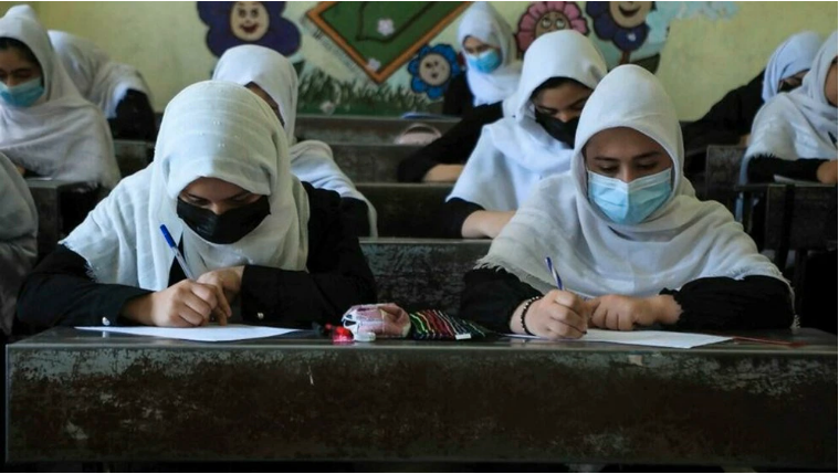 Régimen talibán permitirá a las mujeres estudiar en universidades completamente separadas de los hombres