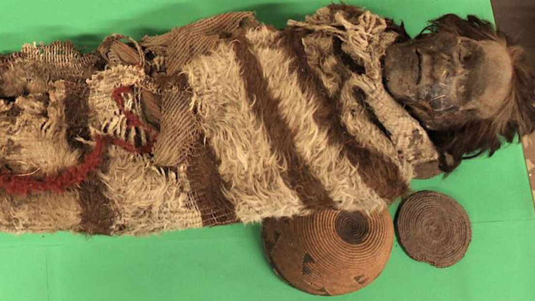 Piojos con ADN de momias de hace 2,000 años revelan cómo vivieron y murieron esas personas