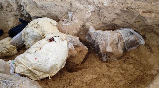Descubren los restos de un mamut en un cementerio de Puebla