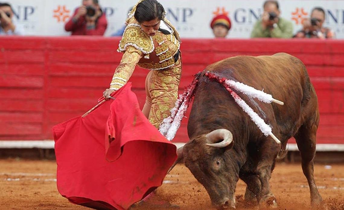 Ciudad de México abre el debate para prohibir las corridas de toros