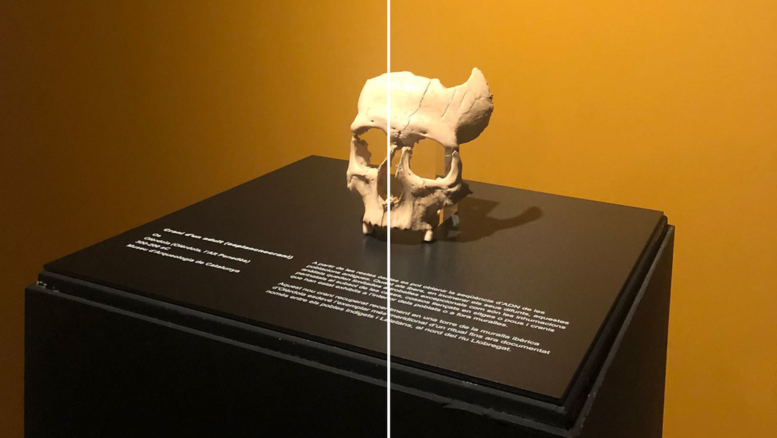 Encuentran en España el cráneo seccionado de un íbero de hace 2.200 años