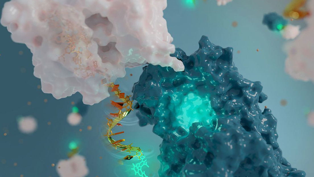 Científicos usan moléculas ADN y crean antena diminuta para monitorear proteínas en el cuerpo