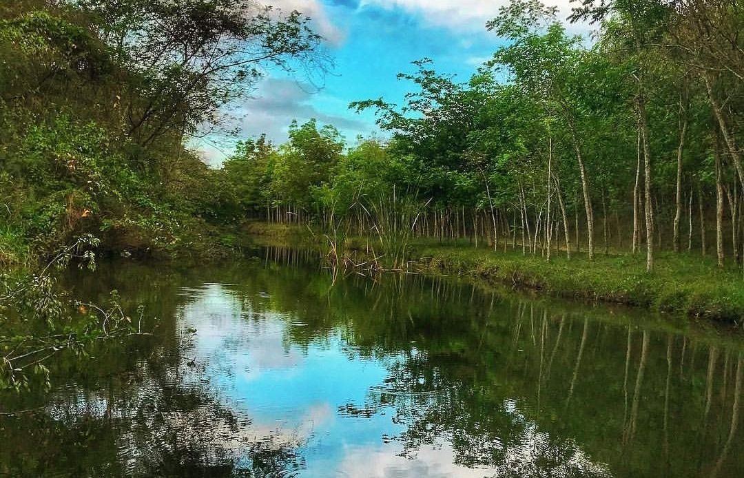 Crean una reserva natural en los humedales de Laguna Prieta por disposición  de Abinader - N Digital
