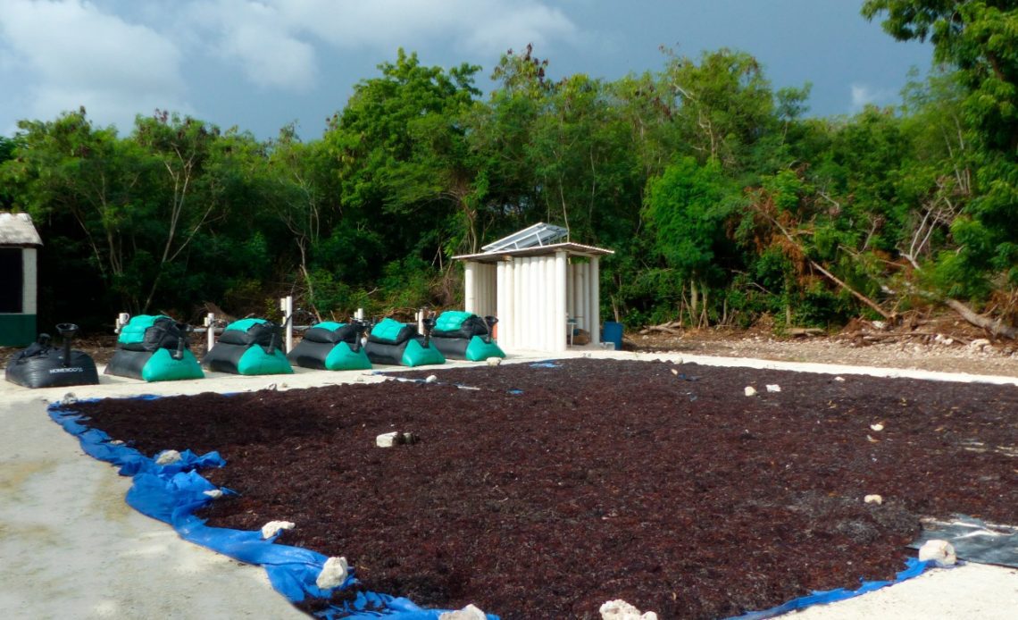 Universidad APEC y entidades generan biogás