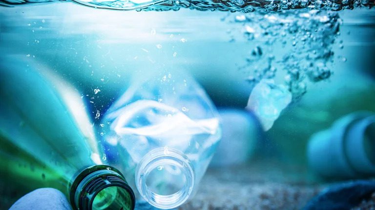 Contaminación silenciosa: por qué los plásticos biodegradables no se descomponen tan rápido en el mar