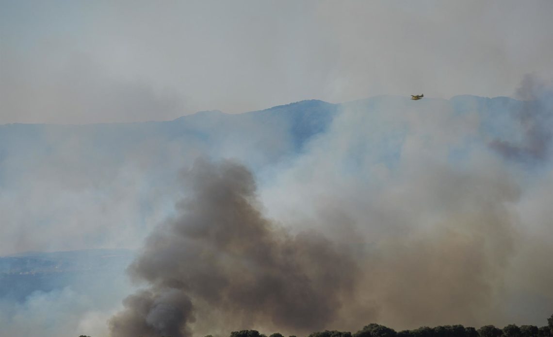 Casi 60.000 hectáreas arrasadas por los incendios forestales en España
