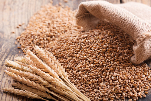 ONU exportará 30 mil toneladas de trigo ucraniano
