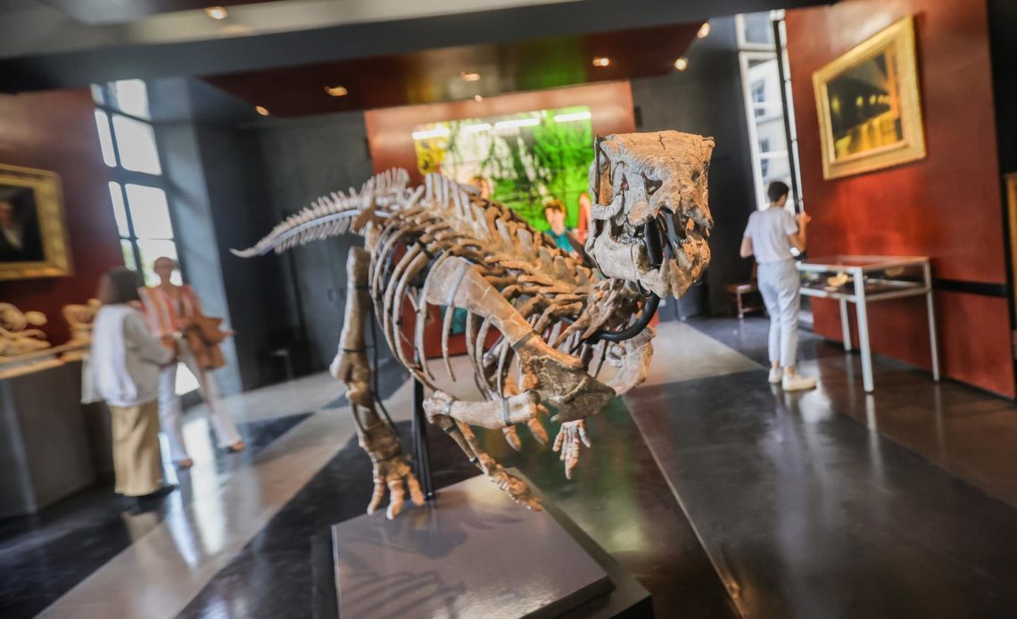 Subasta en París dinosaurio de 150 millones de años bien conservado