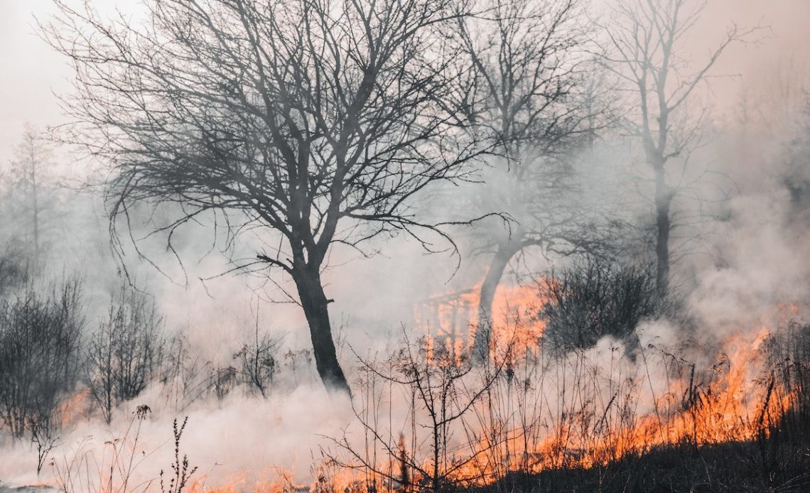 Reportan incendio forestal sin control en oriente cubano