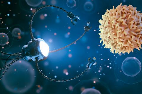Crean nanocápsulas con control remoto para ampliar efecto de quimioterapias