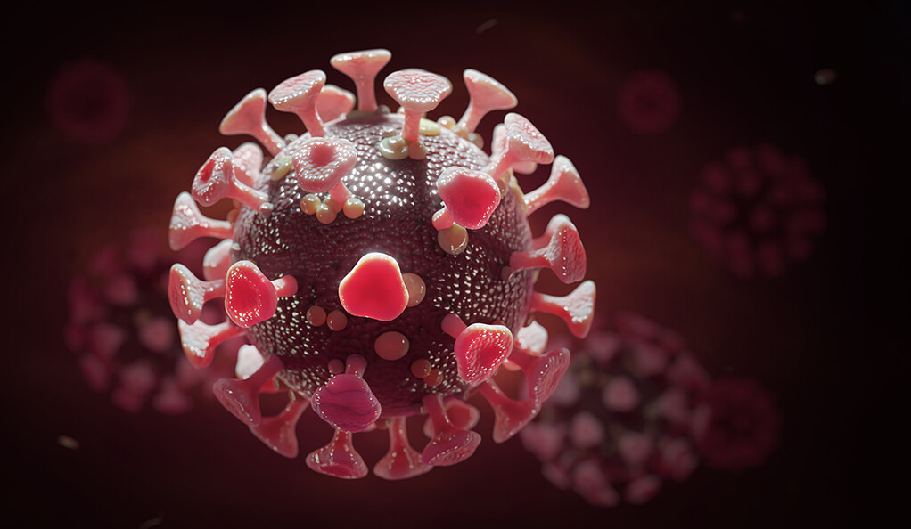 Coronavirus. The virus has four surface proteins: E, S, M and HE