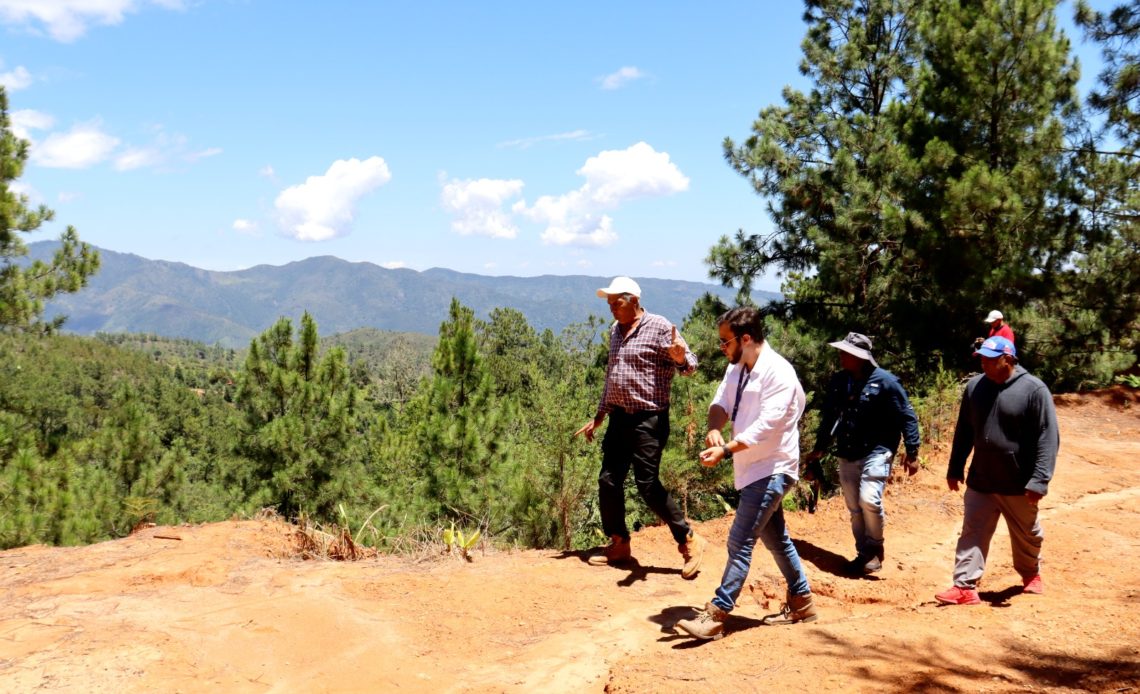 Medio Ambiente avanza en la detección de ilícitos ambientales en Manabao