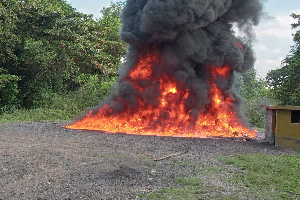 Procuraduría incinera 675 kilogramos de distintas drogas