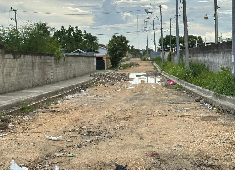 Moradores urbanización Luz María denuncian deterioro de calles en el KM 15