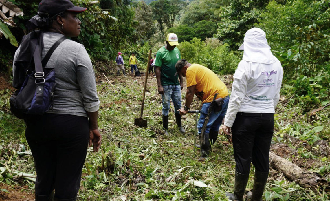 Recuperan cinco cuerpos de personas desaparecidas durante el conflicto colombiano