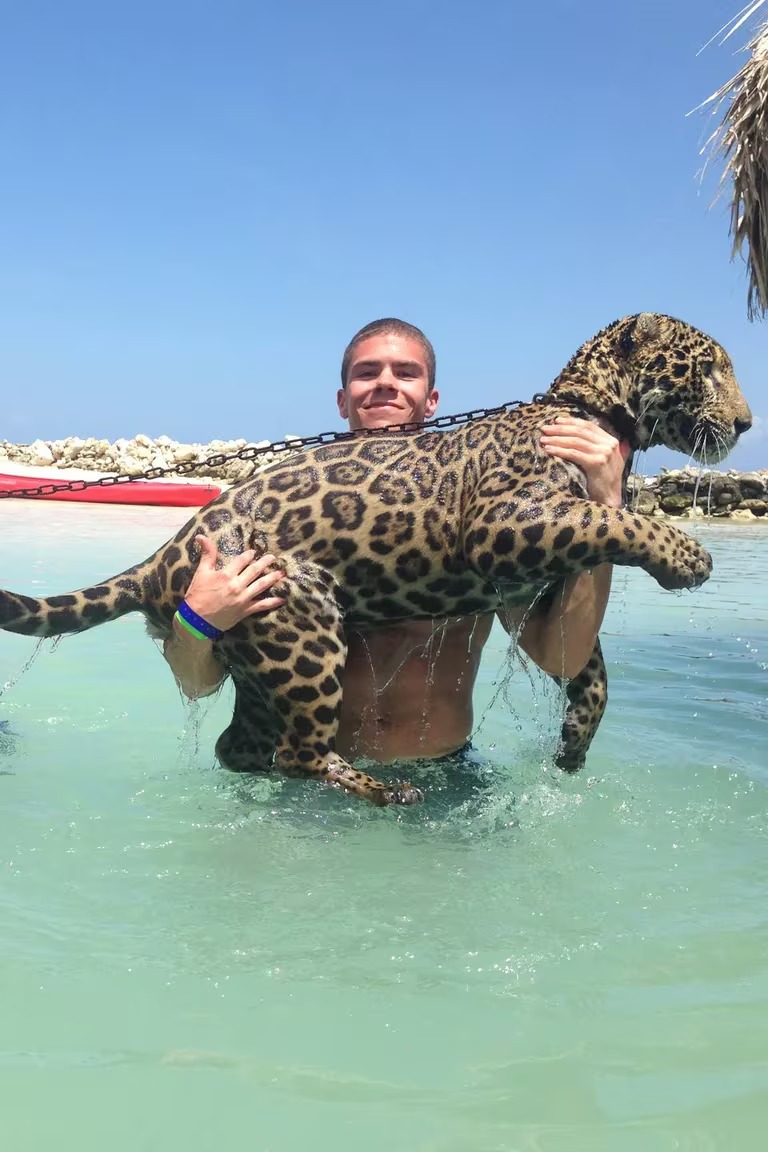 Isla paradisíaca del Caribe convertida en refugio del narco y tráfico ...