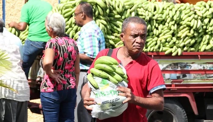 El Gobierno a través del Inespre compró 13 millones 793 mil unidades de guineos verdes a miembros de la Asociación Dominicana de Productores de Banano