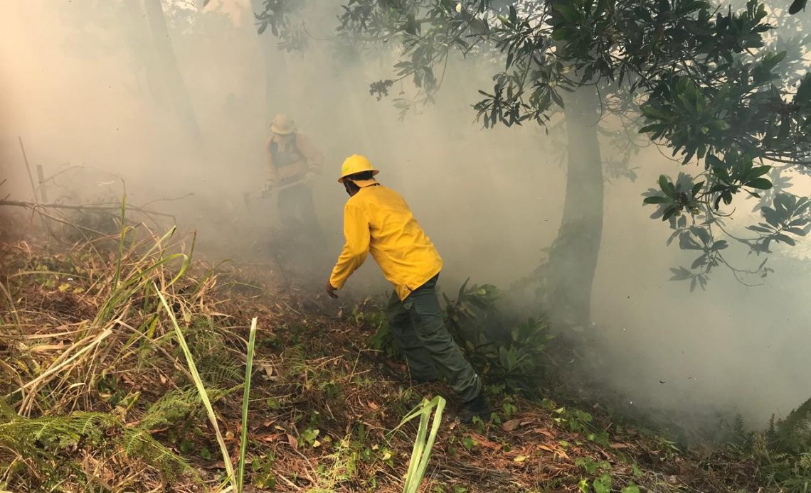 Incendio en la Cienaguita