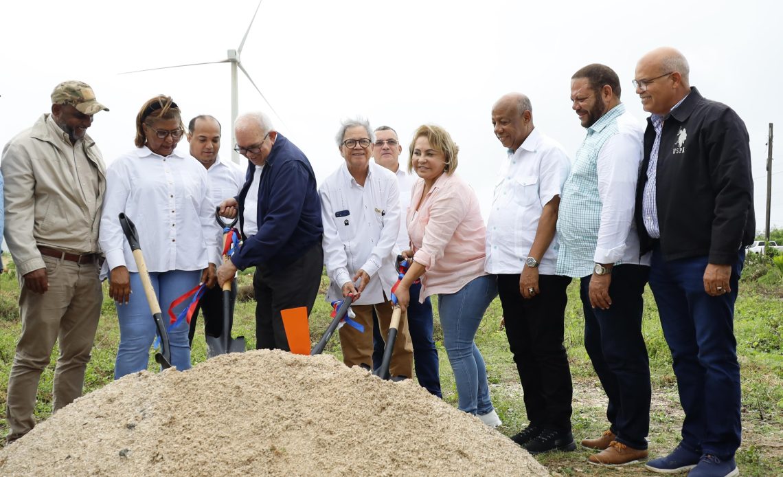 Primer palazo planta