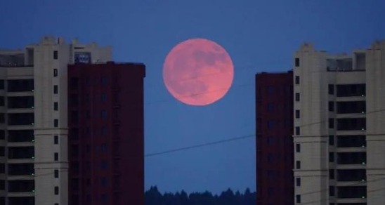 ¿Pudiste ver la superluna anoche? conozca en cuáles fechas volverá a salir