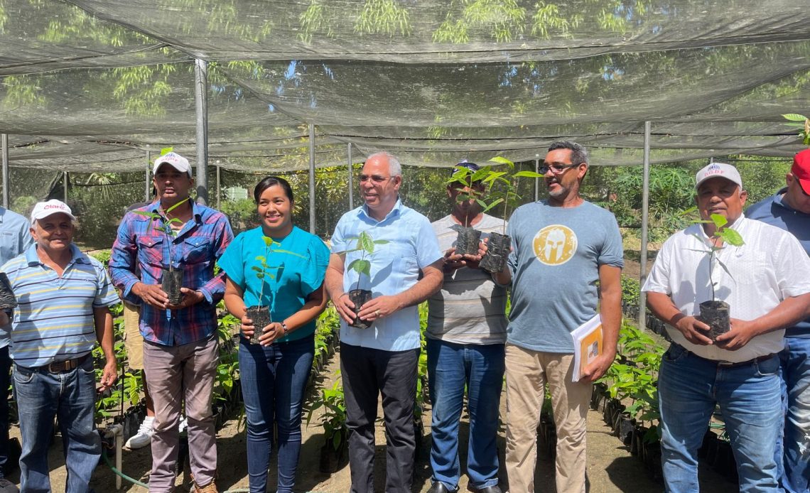 Producción de cacao en Dajabón./