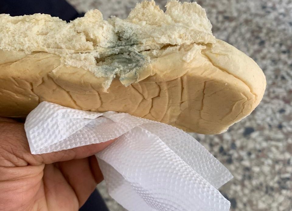 Desayuno escolar contaminado en Azua./