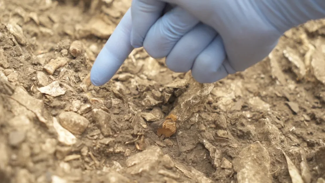 Descubrimiento de cueva en Francia podría explicar por qué desaparecieron los neandertales, dicen los científicos