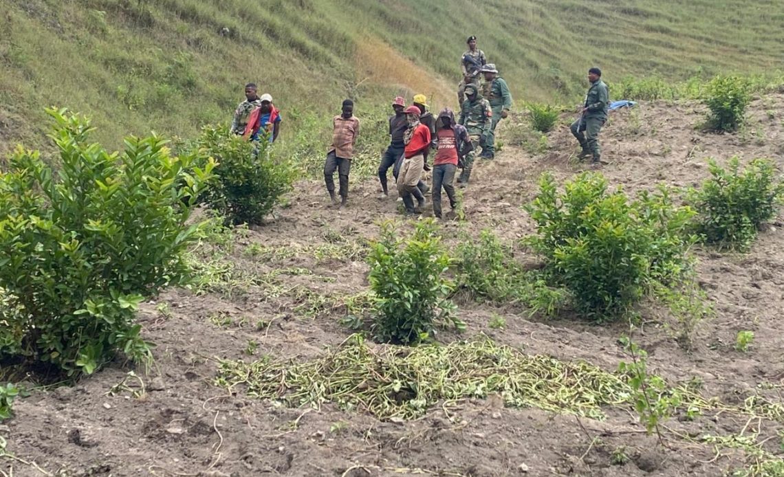 Haitianos detenidos