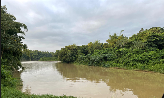 Niveles de agua dulce de la Tierra han descendido bruscamente desde 2014, advierte la NASA