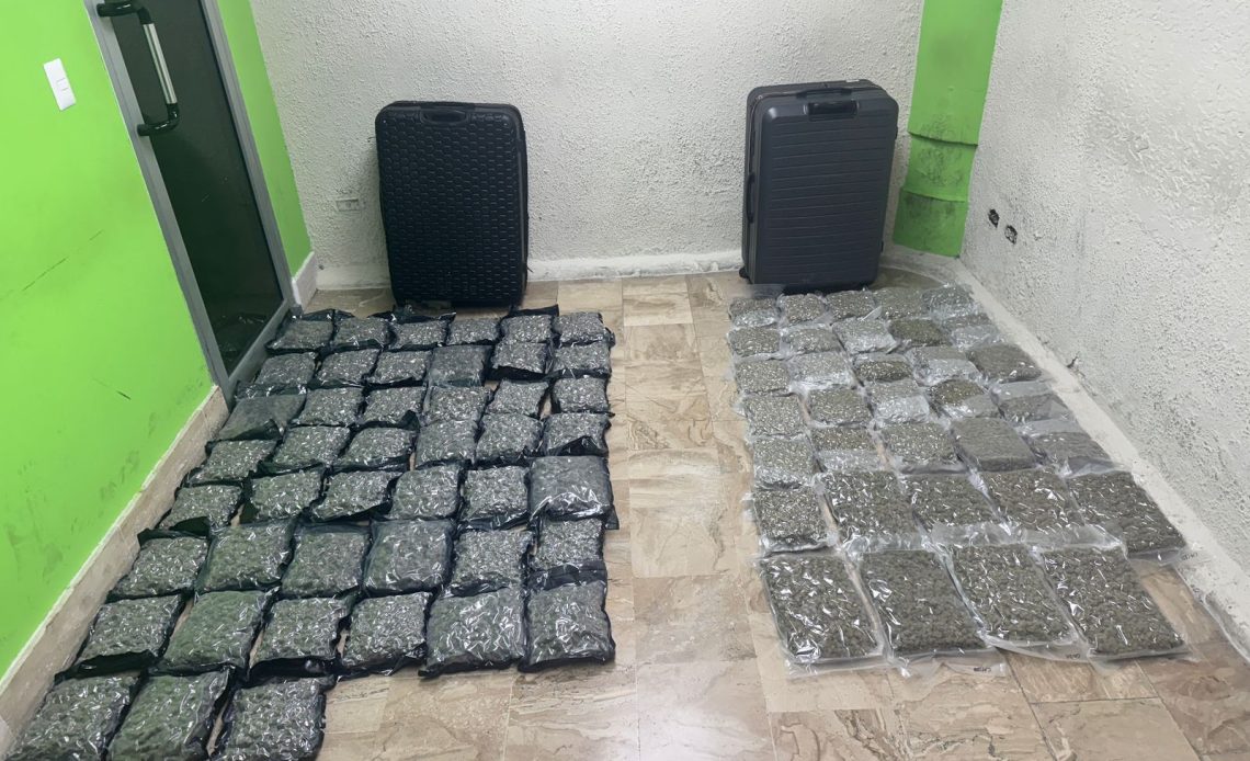 Incautan dos maletas con 79 paquetes de marihuana en aeropuerto de Punta Cana